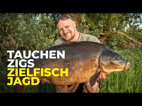 Gamechanger-Taktik, Tauchen und Zielfischjagd – Karpfenangeln am Baggersee mit Chris Ackermann