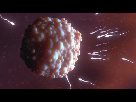 Gene Drives: Saving Lives Or Powering Extinctions?