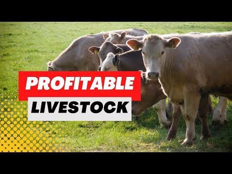 , title : 'Raising Livestock for Profit: The Best Farm Animals to Raise'