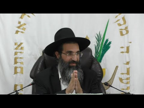 ודבק באשתו והיו לבשר אחד 🕊 הרב שי עובד | שלישי - פרשת נח - תשפה
