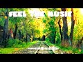 Illathe Kalyanathin Vettam Movie Song Feel The Music Whatsapp Status Daily Dose