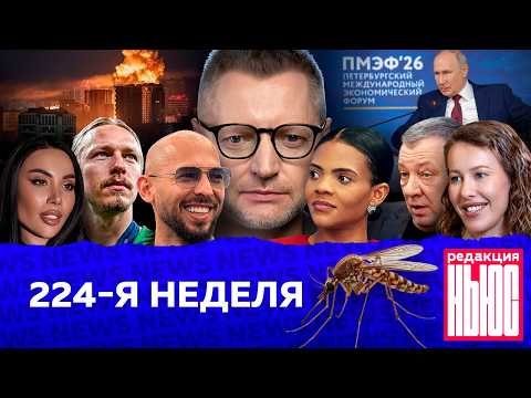 Редакция News: 224-я неделя