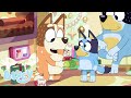 Christmas Swim Full Episode Bluey
