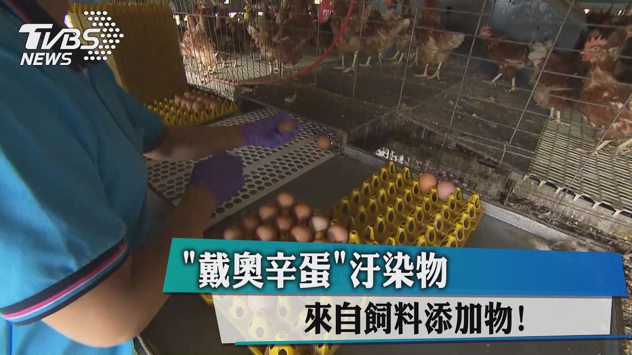 「戴奧辛蛋」汙染物 來自飼料添加物!