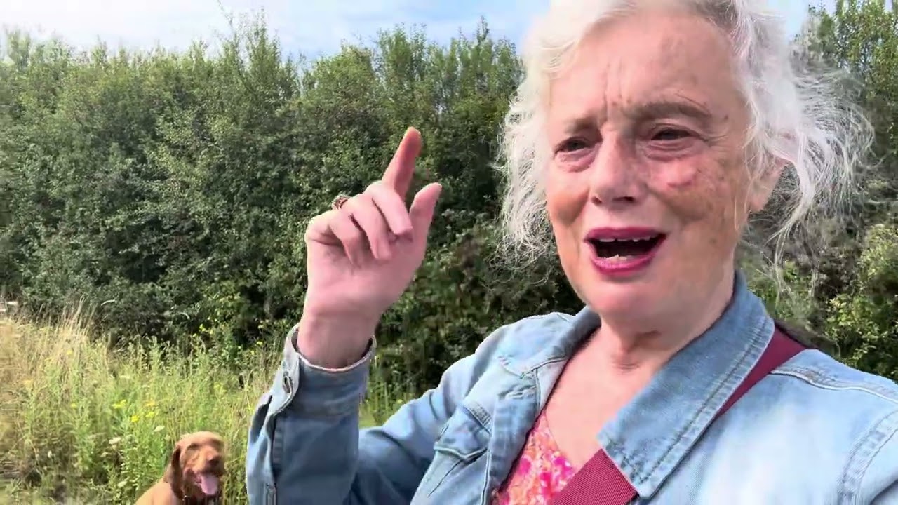 Who are you?  If you don’t have a clue this is for you.