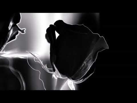 HKL - Das Bild von deinem Gesicht