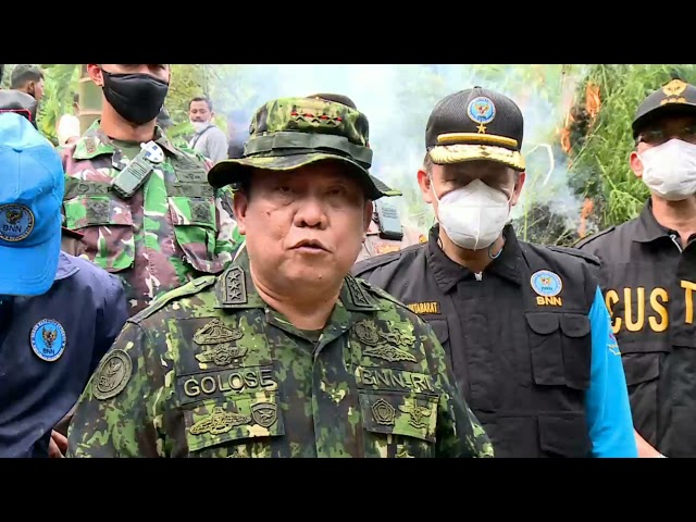 Kepala BNN Pimpin Pemusnahan 9 Hektar Ladang Ganja di Aceh