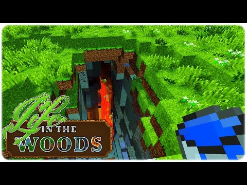 LIFE IN THE WOODS ⛏ [Let's Play] S03E33 - Ein paar Stockwerke tiefer