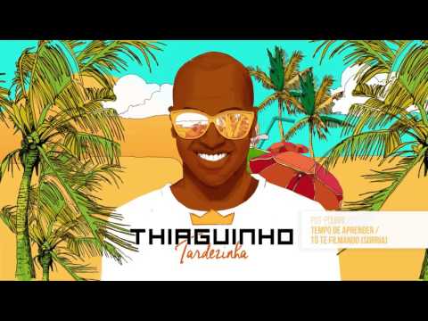 Thiaguinho - Tempo de Aprender / Tô te Filmando (Álbum ​Tardezinha) [Áudio Oficial]