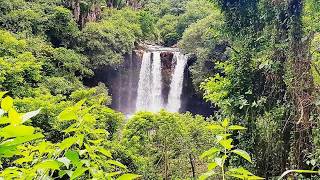 Hiking in the Mauritian nature / Randonnée !