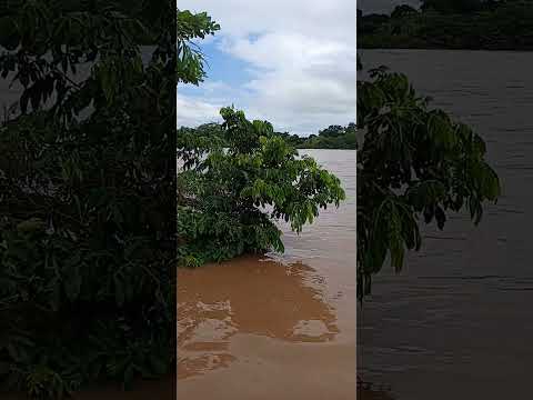 #ART'S DA NÔ #ENCHENTE RIO COXIM #MATO GROSSO DO SUL #VIRAL