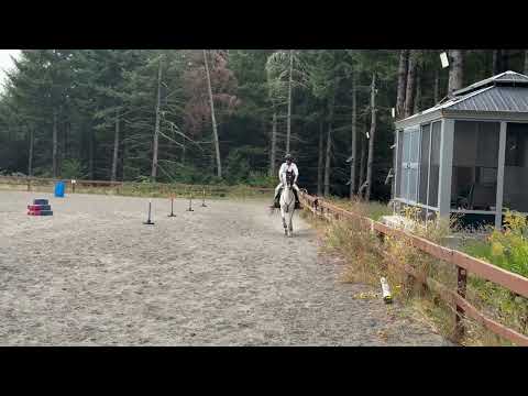 Peter Ellis riding and training with horses ❤️#foryou #kingsguard #peterellis 