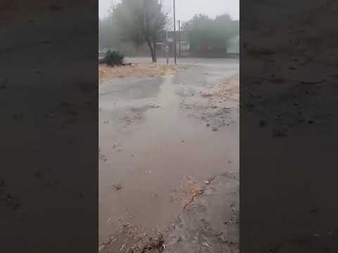 lluvia en guardia mitre provincia Río negro 23/1/26 #lluvia