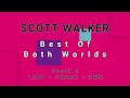 SCOTT WALKER-Best Of Both Worlds (vinyl)