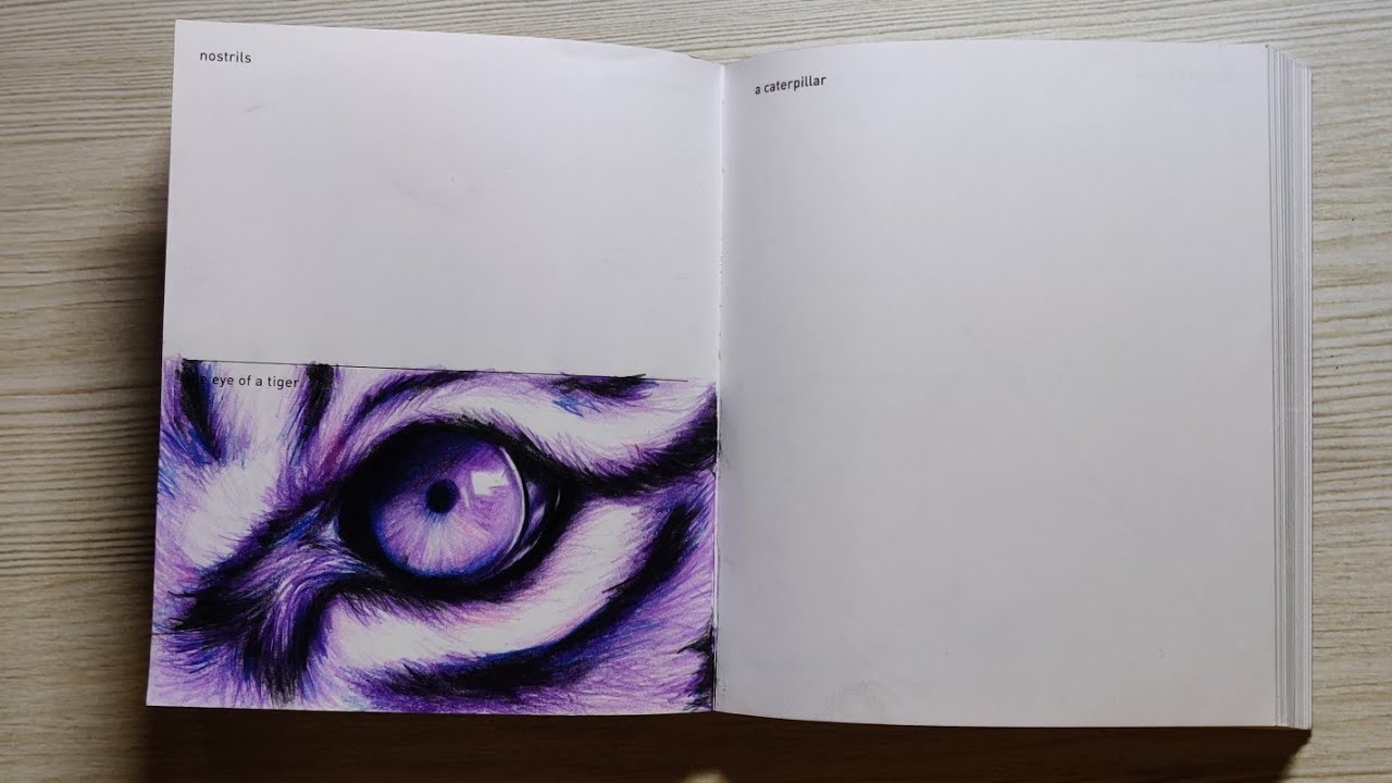 642 Tiny Things to Draw (PART-3)