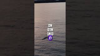 הרב שלום סבג - שיעורי וידאו - הרב שלום סבג – דמעה של בעלי תשובה ✨