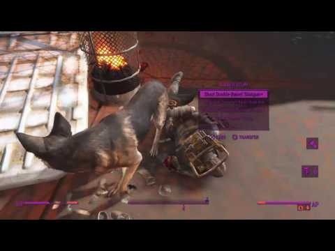 Fallout 4 with lexisonfire666 Live PS4 Broadcast
