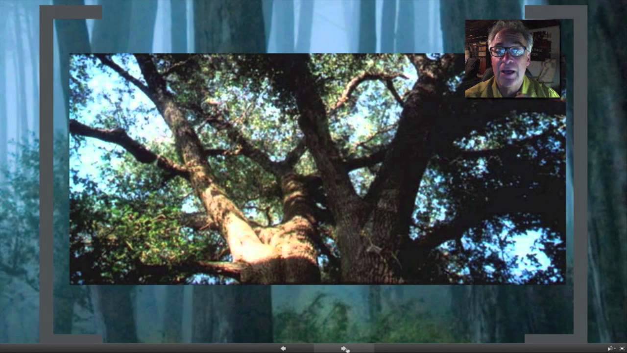 Observations in Plant Science