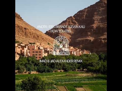 ANOTR, Erik Brandt - How You Feel (Imad & Jad Alexander Remix)