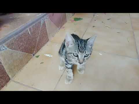 ٣١ يوليو ٢٠٢٤