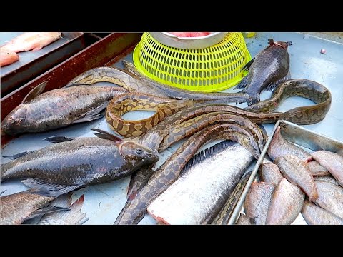 Century Plaza Market in Phnom Penh Cambodia