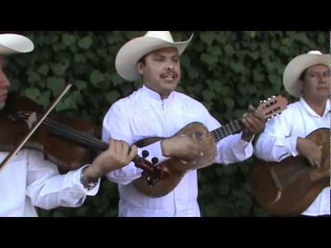 Trío Guardianes de la Huasteca - La Leva
