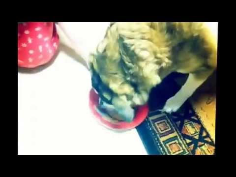 "SOPHIE'S 7th HAPPY BIRTHDAY;)"