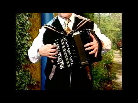 FISARMONICA | VALZER MIX Ruggero Passarini @Musicainballo