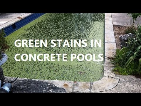 Green Stains on Pool Plaster