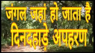 preview picture of video 'धारकुंडी के जंगल में / रानीपुर वन्य जीव अभ्यारण उत्तर प्रदेश/ ranipur up'