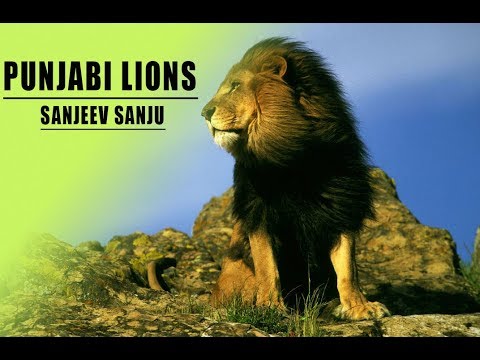 Punjabi Lions