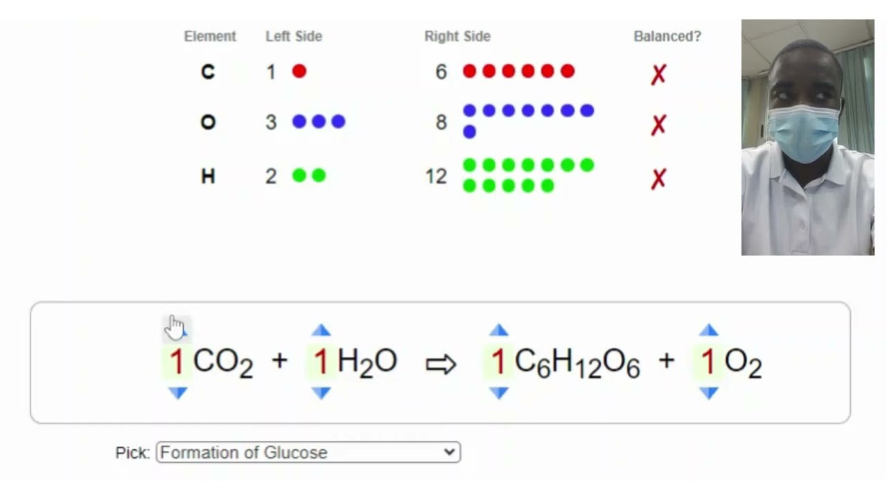 Chemical Equations Simulation | Science Experiment | Virtual Lab Simulation