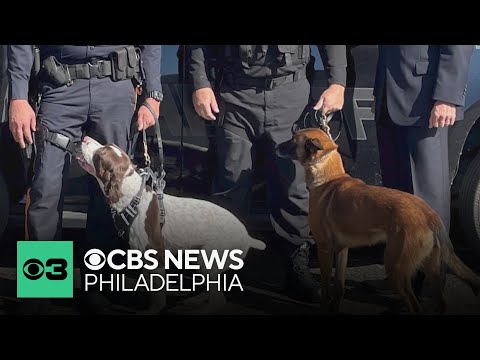 Salem County Nj Arrests