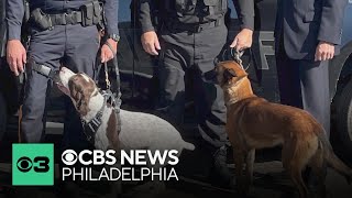South Jersey residents outraged after two K9 officers die: It broke my heart