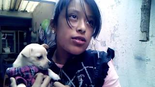 Cono siendo a pelusa nueva j integrante ala famili