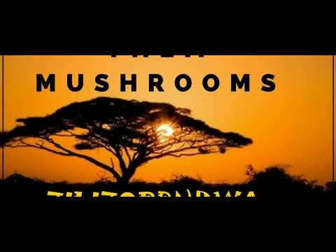 BEST OF THEM MUSHROOM ZILIZOPENDWA MIXED BY DJ NDOCHEZ KENYA META ENTERTAINMENT #zilizopendwa