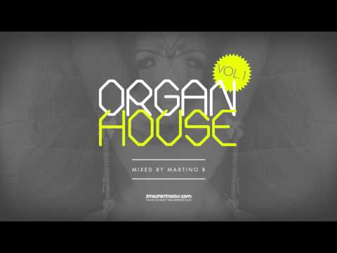 Martino B ● Organ House v001 (March 2015)