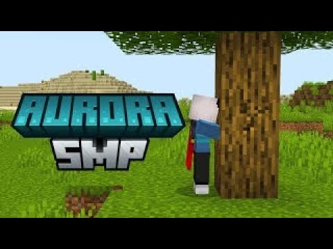 🔴 The End of the Aurora SMP.