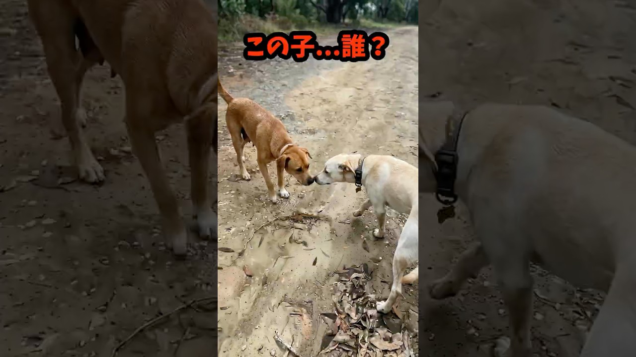 この子…誰？そう思った瞬間、母だと気づいた