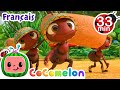 Les Fourmis CoComelon En Français Chansons Pour Bébés