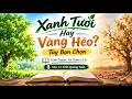 Xanh Tươi Hay Vàng Héo? Tùy Bạn Chọn!
