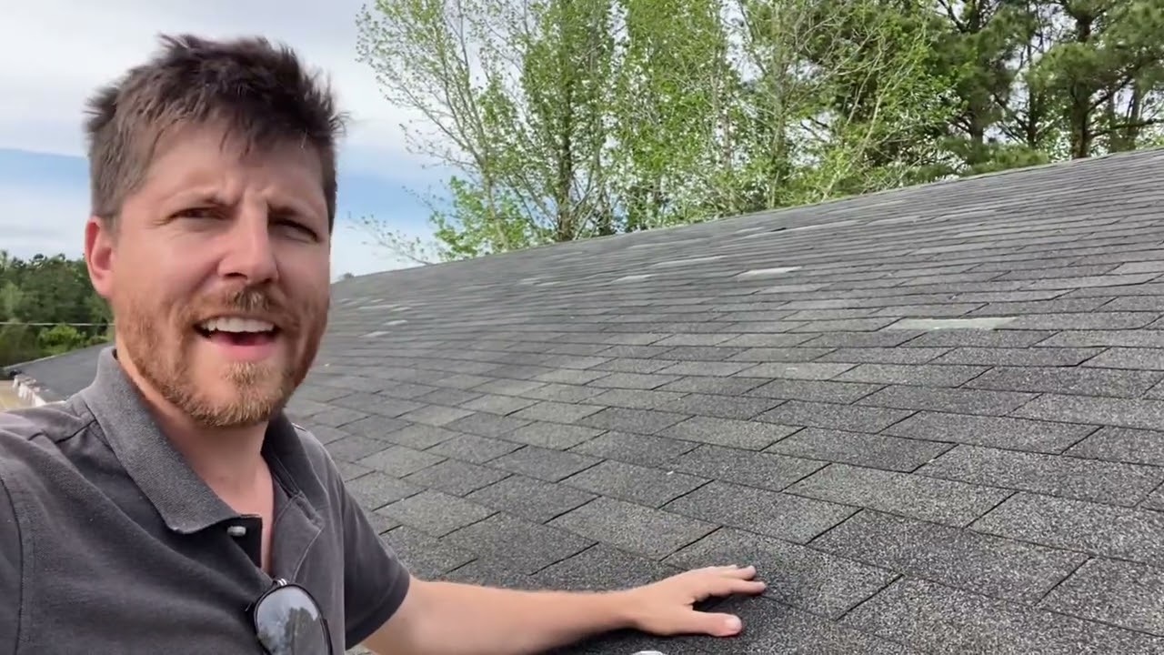 Daily vlog #4