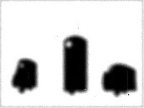 ARVA' ('nto'l tuo) - GUALTIERO CACIOPPA