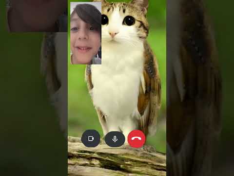 ٦ يناير ٢٠٢٦