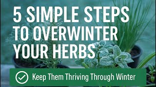 🎥 ✅ 🌱 5 Simple Steps to Overwinter Your Herbs ❄️ | Keep Them Thriving Through Winter 🌿🎧