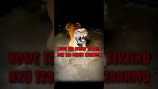 Download lagu Story WA keren 2019😂 mp3