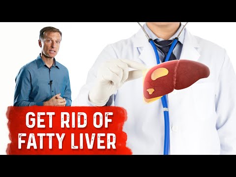 Reduce Your Liver Fat by 50 Percent in 14 Days