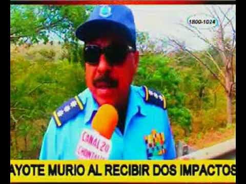 Ganadero fue asesinado por su sobrino en El Ayote