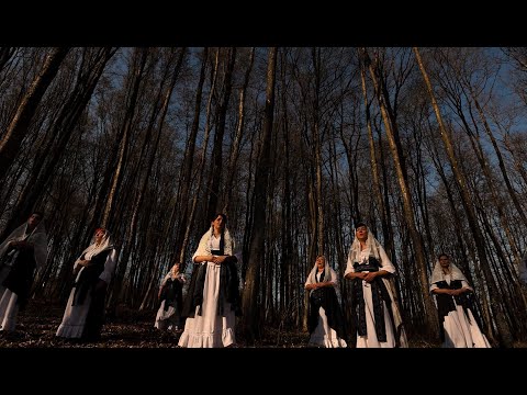 VA Lipe - Kraljice možna