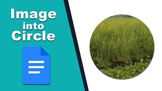 how to use crop images into a circle shape in google docs